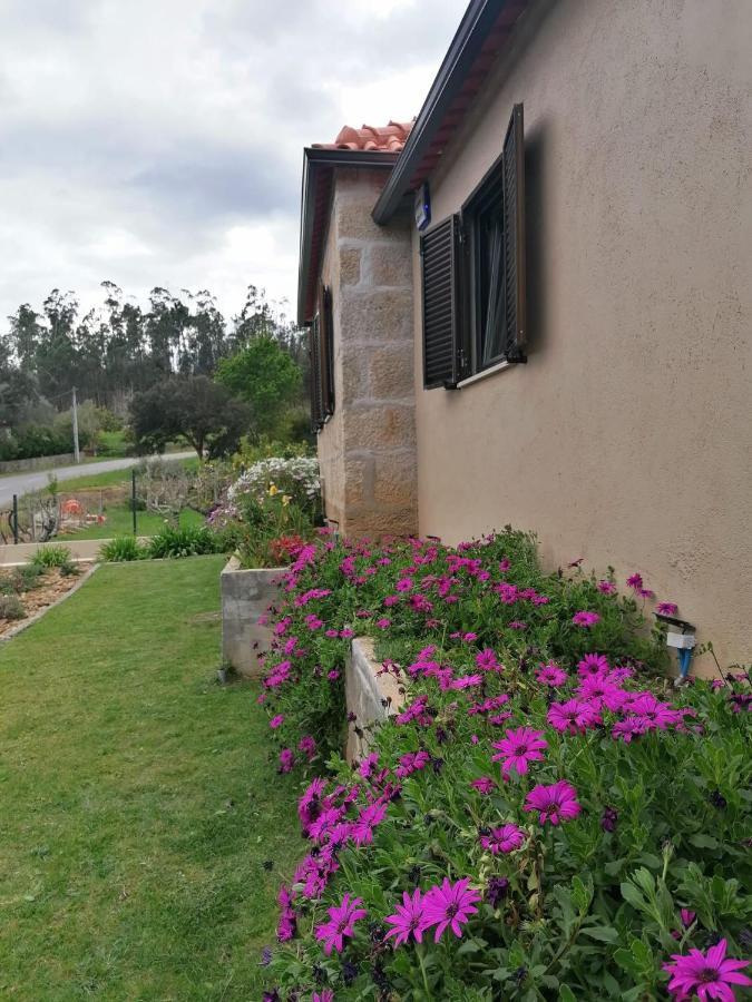 Casa Dos Matos Vila Ponte de Lima Exterior foto
