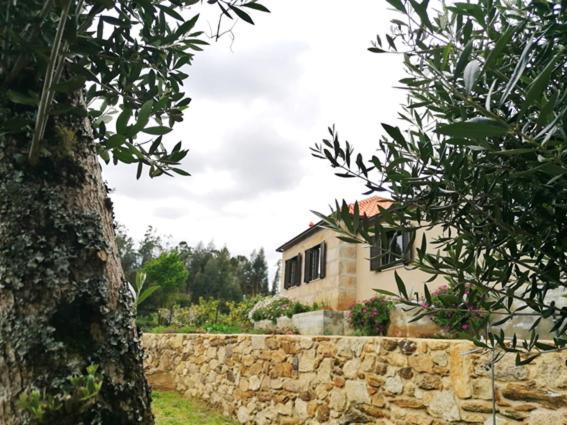 Casa Dos Matos Vila Ponte de Lima Exterior foto