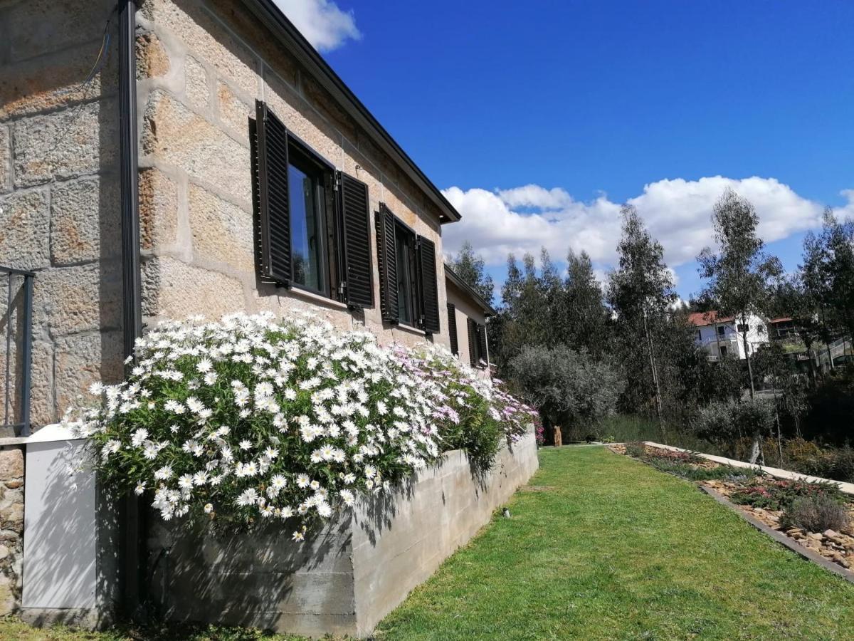 Casa Dos Matos Vila Ponte de Lima Exterior foto