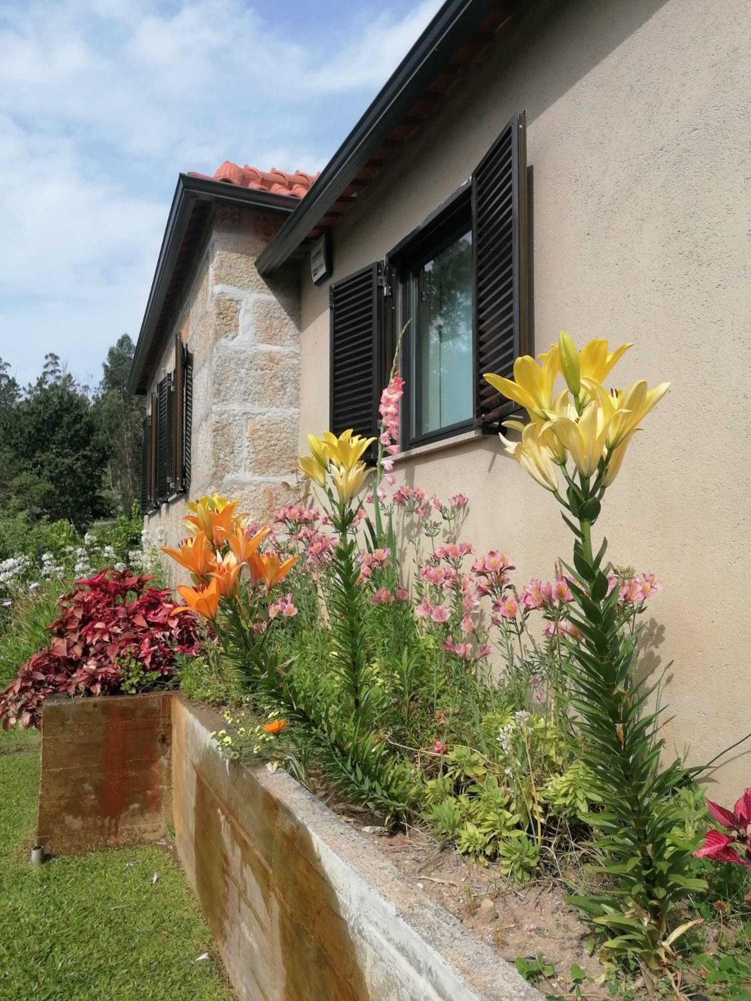 Casa Dos Matos Vila Ponte de Lima Exterior foto