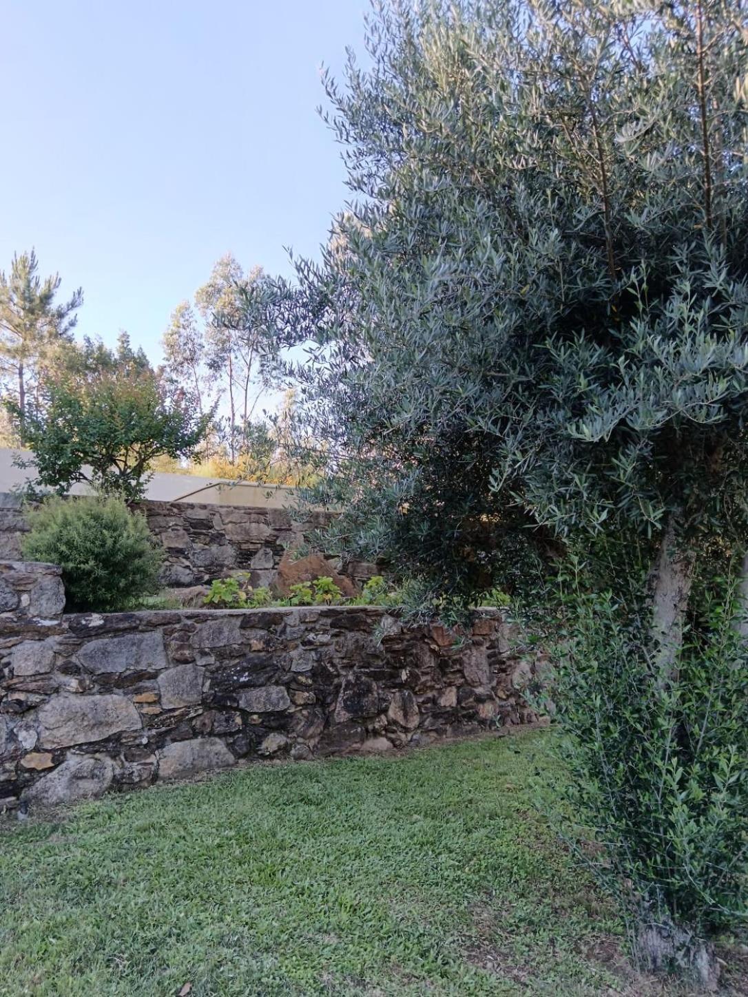 Casa Dos Matos Vila Ponte de Lima Exterior foto